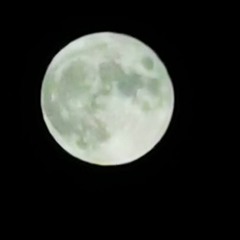 Lucna llena Set - Electronic journey