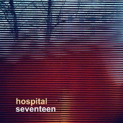 Seventeen