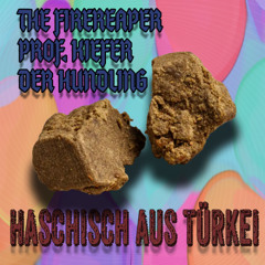 Haschisch aus Türkei (feat. Professor Kiefer & Der Hundling) (Original Mix)