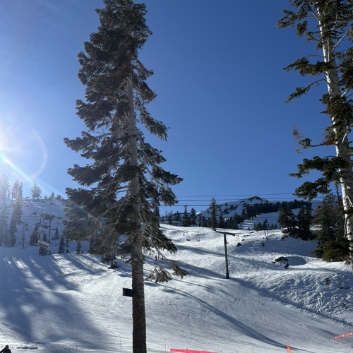 Jam_D_250121