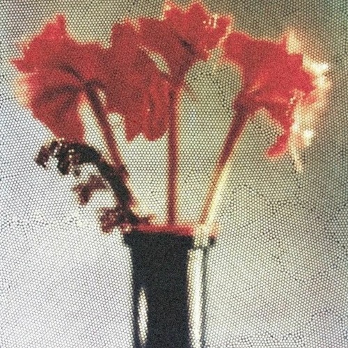 flowers [interlude] w/ nxvy.