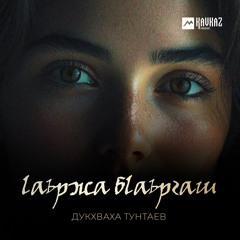 lаьржа бlаьргаш