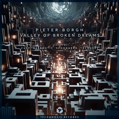 Pieter Borgh - Valley Of Broken Dreams (TechDeeJ Remix) [PREVIEW]