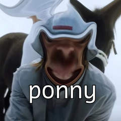 Hung Yurn hat nen Ponny