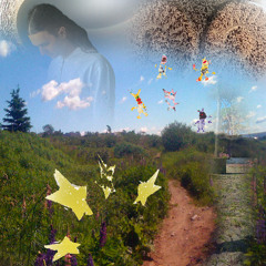 Look! The Path of Freedom! It won’t be visible for long.. Hurry up!