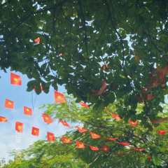 Làng Quan Họ Quê Tôi - Remix