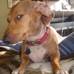 old ahh beat @prod.von