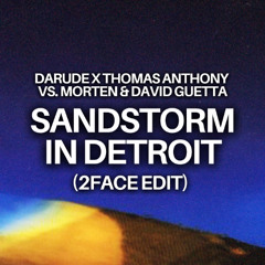 Sandstorm In Detroit (2FACE Edit)