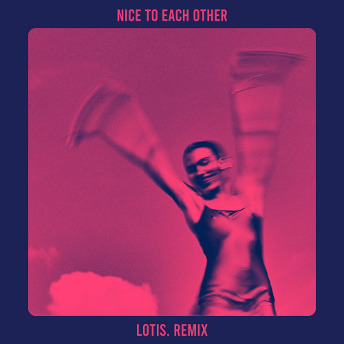Nice To Each Other (lotis. Remix)