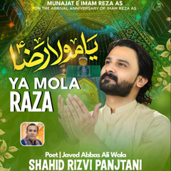 Ya Mola Raza (a.s)  --  Munajat e Imam Raza (a.s)  --  Shahid Rizvi Panjtani  --  Manqabat  --  2025