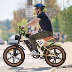 psa.e-bike.willa and ginger