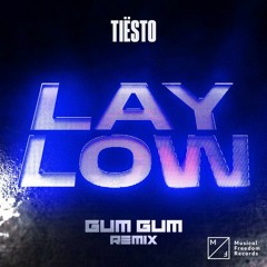 Lay Low- Tiesto (Gum Gum Remix)