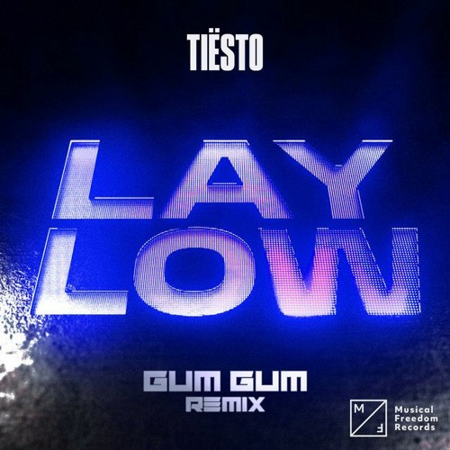 Stream Lay Low- Tiesto (Gum Gum Remix) by Gum Gum | Listen online for free  on SoundCloud