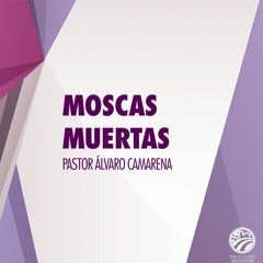 01 | Álvaro Camarena | Moscas muertas | 03/25/22