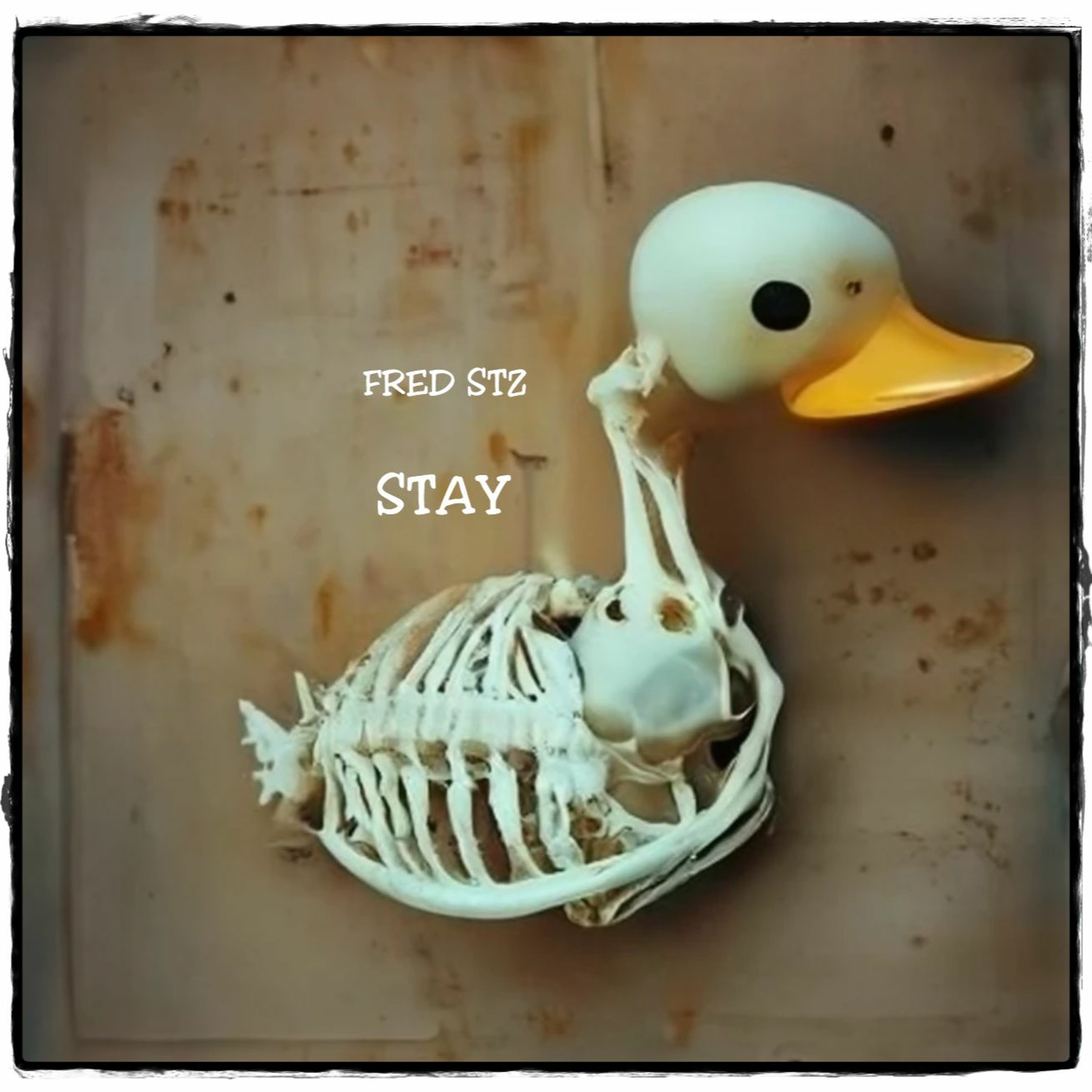 FRED STZ MUSIC