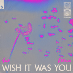 Wish It Was You (Axis Remix)