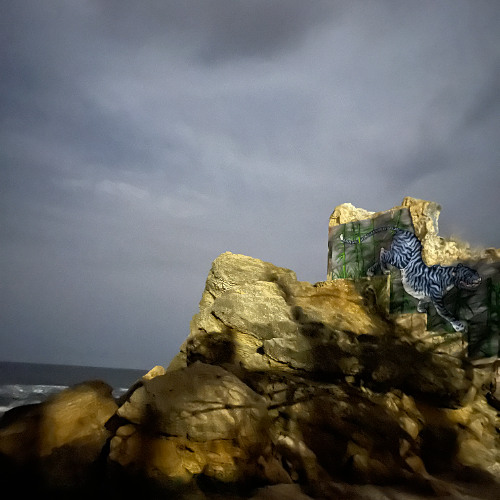 Lu Joyce- Metalevi Snu