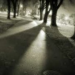 Shadows Of The Night