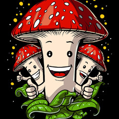 I'm Trippin(Shrooms)