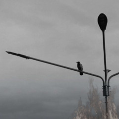 GREEDY FERTILIZER - CRAZY [PROD. SLASHER] "VIDEO IN DESC"