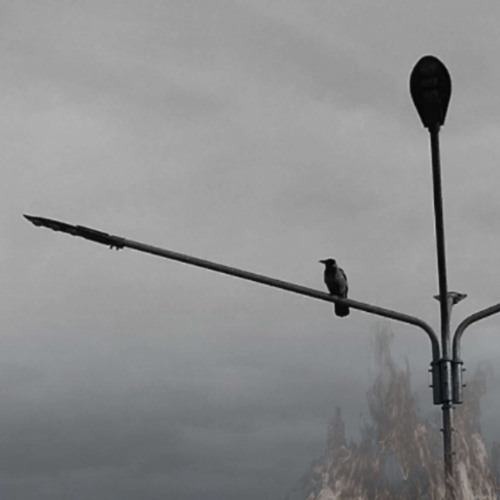 GREEDY FERTILIZER - CRAZY [PROD. SLASHER] "VIDEO IN DESC"