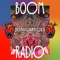 Sonic Species - Dance Temple - Boom Festival 2023