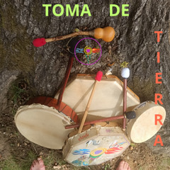 TOMA DE TIERRA