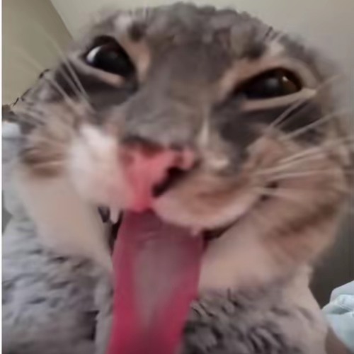cet endroit vous a