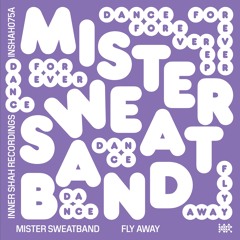 Mister Sweatband - Fly Away (Original Mix)