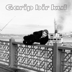 Garip bir Kul ( Arabesque Vocals Meet Hip-Hop Beats)