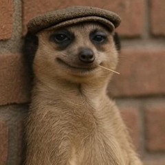 2HOLLIS - ID BE LYING