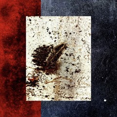 The Saturday Session Tapes