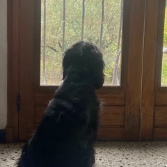 Dimanche Sympa (Sample: Well I Wonder de The Smiths)