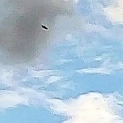 MOISES GUIDO ABSTRACT HOUSE 3