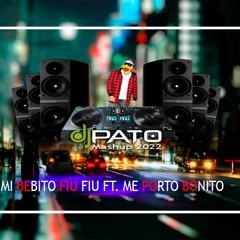 DJ PATO BEBITO FIU FIU FT. ME PORTO BONITO - BAD BUNNY 88 - 95 BPM