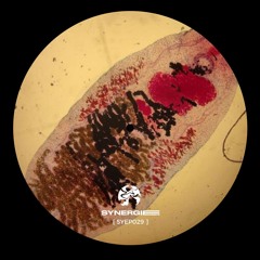 [PREMIERE] | Alessandro (COL) - Facing [SYEP029]