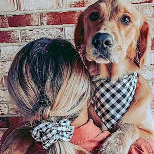 Custom song #8: Let My Dog Into Heaven