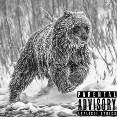Poise (Prod. SK8ZEN)
