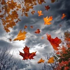 In Autumn