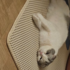 241016 Miss Your World Mstr 1