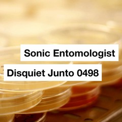 Sonic Entomologist - disquiet0498