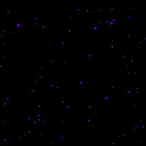 Pleiadian Family of Light Transmission