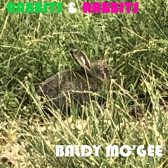 Rabbit Song