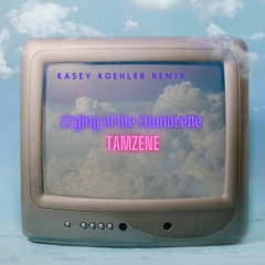 Laundrette - Tamzene (Kasey Koehler remix)