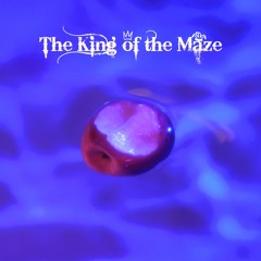 The King of the Maze