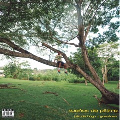 Sueños de pitirre