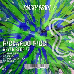 [TOASTBC012] / Riccardo Ricci - Never Stop EP