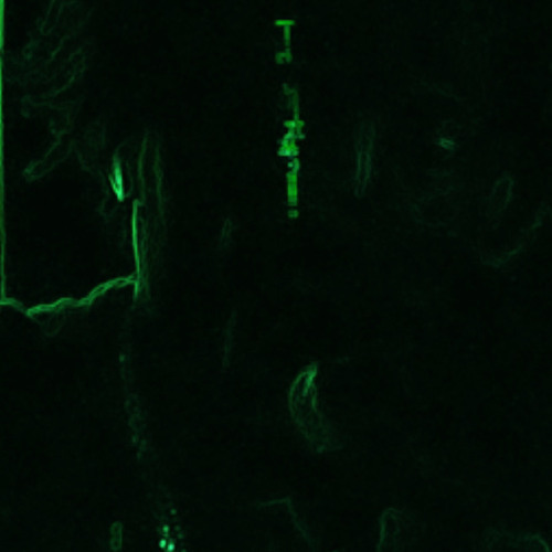 Lilfye-murder Demon 762.m4a