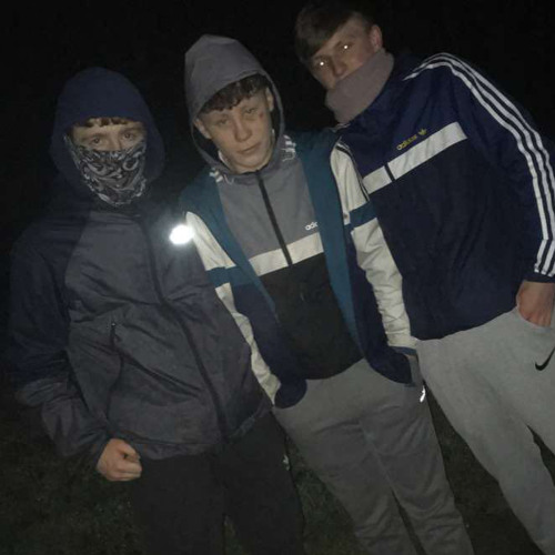 assassin