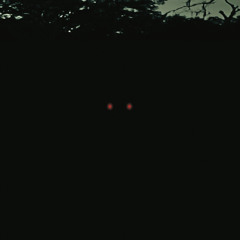 SKINWALKER